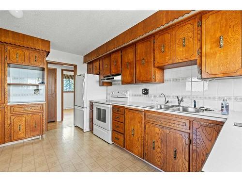 16 Trafford Place Nw, Calgary, AB - Indoor Photo Showing Kitchen With Double Sink