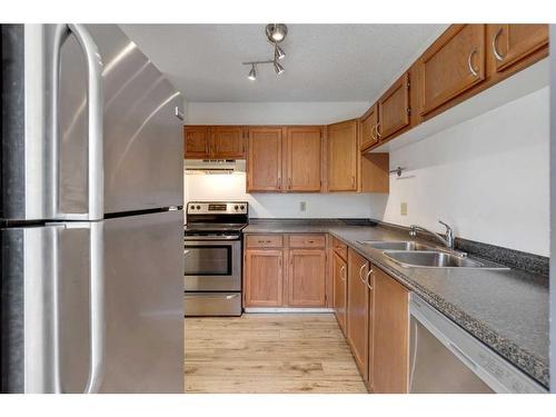 105-205 5 Avenue Ne, Calgary, AB - Indoor Photo Showing Kitchen With Stainless Steel Kitchen With Double Sink