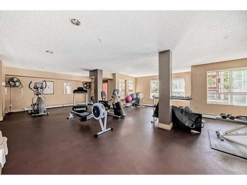 228-22 Richard Place Sw, Calgary, AB - Indoor Photo Showing Gym Room