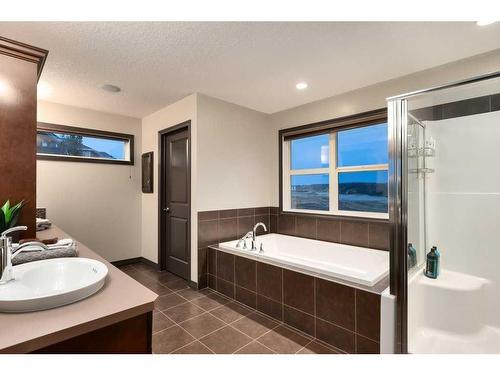 263 Sunset View, Cochrane, AB - Indoor Photo Showing Bathroom