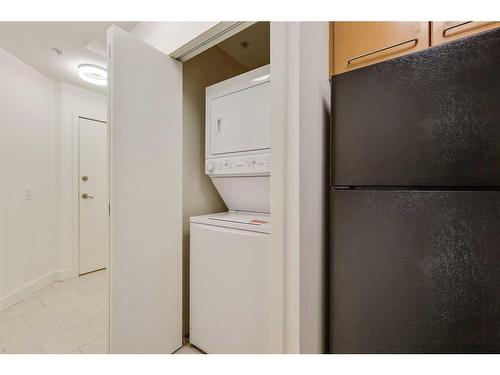 155-35 Richard Court Sw, Calgary, AB - Indoor Photo Showing Laundry Room