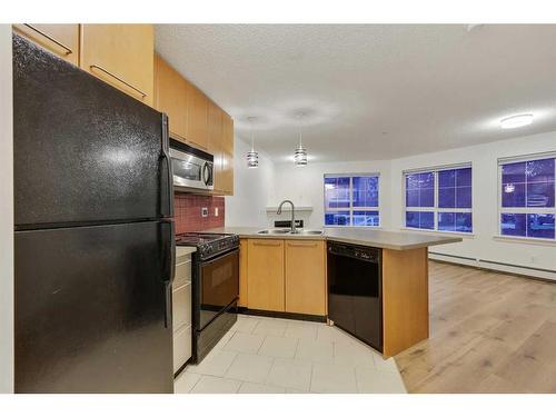 155-35 Richard Court Sw, Calgary, AB - Indoor Photo Showing Kitchen With Double Sink