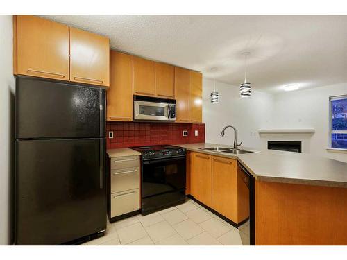 155-35 Richard Court Sw, Calgary, AB - Indoor Photo Showing Kitchen With Double Sink