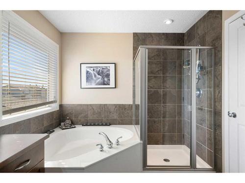 67 Elgin View Se, Calgary, AB - Indoor Photo Showing Bathroom