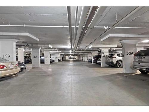 1605-4641 128 Avenue Ne, Calgary, AB - Indoor Photo Showing Garage