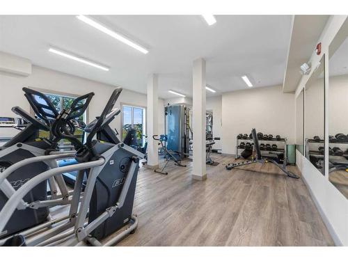 1605-4641 128 Avenue Ne, Calgary, AB - Indoor Photo Showing Gym Room