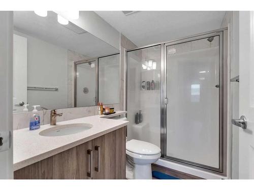 2313-6118 80 Avenue Ne, Calgary, AB - Indoor Photo Showing Bathroom