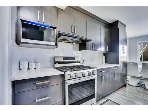 11 Saddlebrook Way Ne, Calgary, AB - Indoor Photo Showing Kitchen With Upgraded Kitchen