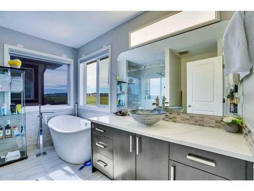 11 Saddlebrook Way Ne, Calgary, AB - Indoor Photo Showing Bathroom