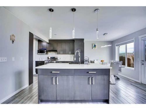 11 Saddlebrook Way Ne, Calgary, AB - Indoor Photo Showing Kitchen With Upgraded Kitchen