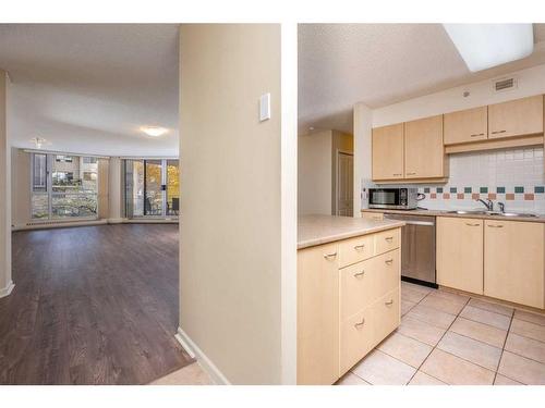 206-804 3 Avenue Sw, Calgary, AB - Indoor Photo Showing Kitchen With Double Sink