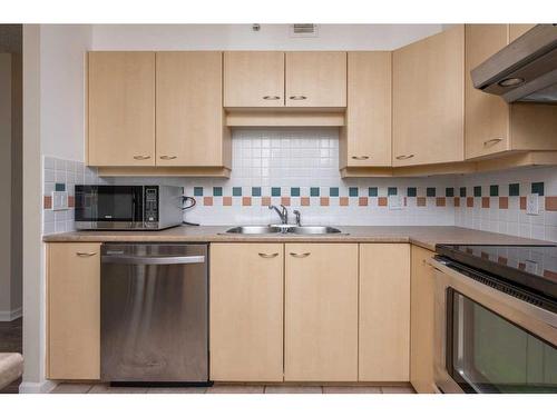 206-804 3 Avenue Sw, Calgary, AB - Indoor Photo Showing Kitchen With Double Sink