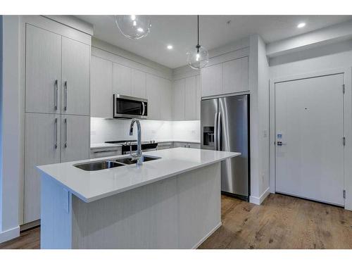 1121-395 Skyview Parkway Ne, Calgary, AB - Indoor Photo Showing Kitchen With Double Sink With Upgraded Kitchen