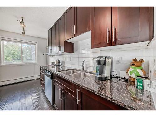 205A-4455 Greenview Drive, Calgary, AB - Indoor Photo Showing Kitchen With Double Sink