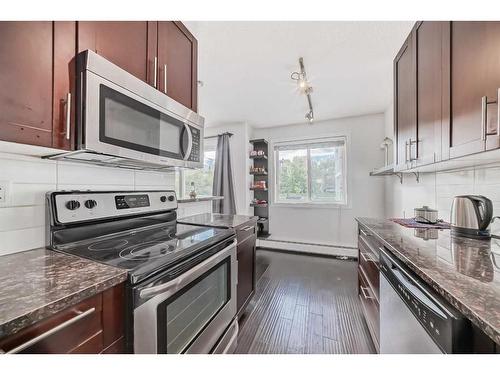 205A-4455 Greenview Drive, Calgary, AB - Indoor Photo Showing Kitchen