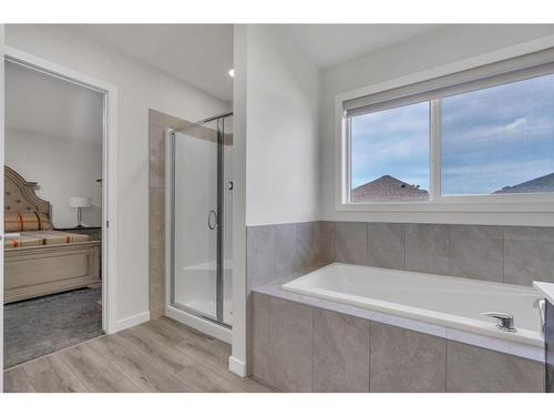 28 Savanna Link Ne, Calgary, AB - Indoor Photo Showing Bathroom