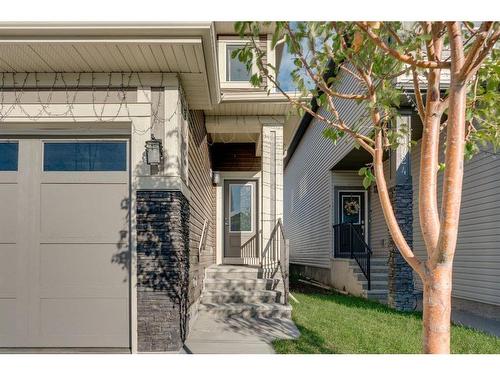 28 Savanna Link Ne, Calgary, AB - Outdoor