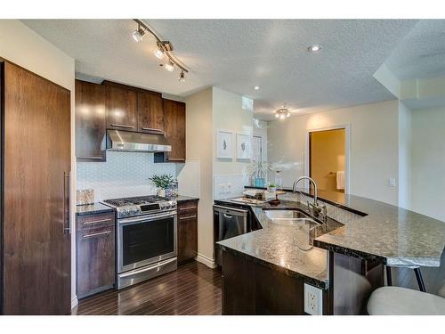 115-950 Centre Avenue Ne, Calgary, AB - Indoor Photo Showing Kitchen With Stainless Steel Kitchen With Double Sink With Upgraded Kitchen