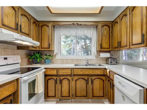 115 Silver Springs Green Nw, Calgary, AB - Indoor Photo Showing Kitchen With Double Sink