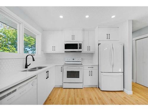 412 Pinegreen Close Ne, Calgary, AB - Indoor Photo Showing Kitchen With Double Sink