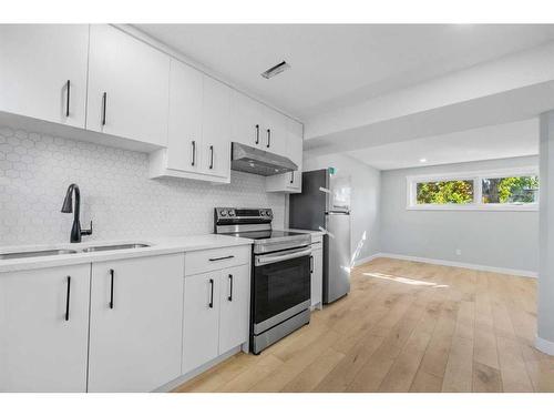 412 Pinegreen Close Ne, Calgary, AB - Indoor Photo Showing Kitchen With Double Sink