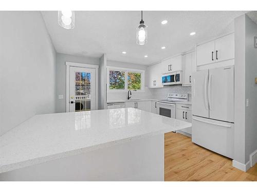 412 Pinegreen Close Ne, Calgary, AB - Indoor Photo Showing Kitchen With Upgraded Kitchen