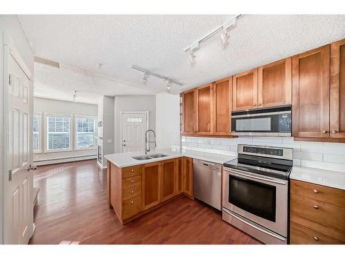 105-112 14 Avenue Se, Calgary, AB - Indoor Photo Showing Kitchen With Double Sink