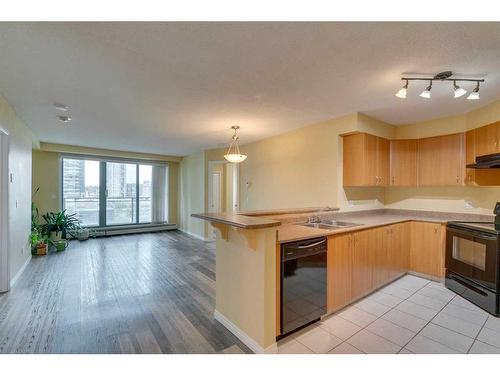 907-1121 6 Avenue Sw, Calgary, AB - Indoor Photo Showing Kitchen With Double Sink