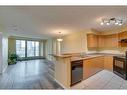 907-1121 6 Avenue Sw, Calgary, AB  - Indoor Photo Showing Kitchen With Double Sink 