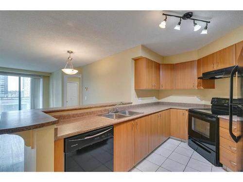 907-1121 6 Avenue Sw, Calgary, AB - Indoor Photo Showing Kitchen With Double Sink