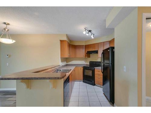 907-1121 6 Avenue Sw, Calgary, AB - Indoor Photo Showing Kitchen With Double Sink