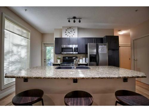 202-2307 14 Street Sw, Calgary, AB - Indoor Photo Showing Kitchen With Double Sink With Upgraded Kitchen