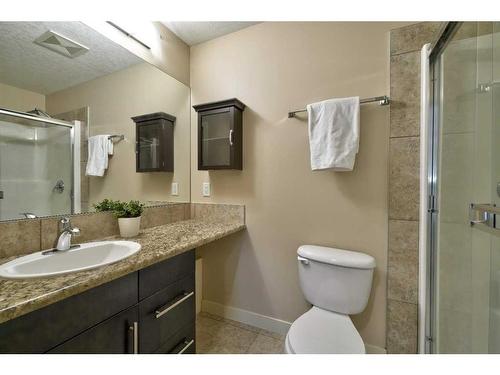 202-2307 14 Street Sw, Calgary, AB - Indoor Photo Showing Bathroom