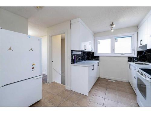 1027 Pinecliff Drive Ne, Calgary, AB - Indoor Photo Showing Kitchen With Double Sink