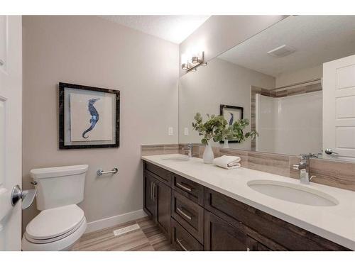 118 Hillside Terrace, Rural Rocky View County, AB - Indoor Photo Showing Bathroom