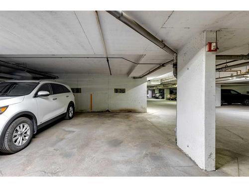 3101-3101 Valleyview Park Se, Calgary, AB - Indoor Photo Showing Garage