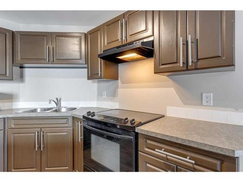 3101-3101 Valleyview Park Se, Calgary, AB - Indoor Photo Showing Kitchen With Double Sink