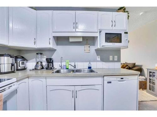 489 Saddlecrest Boulevard Ne, Calgary, AB - Indoor Photo Showing Kitchen With Double Sink