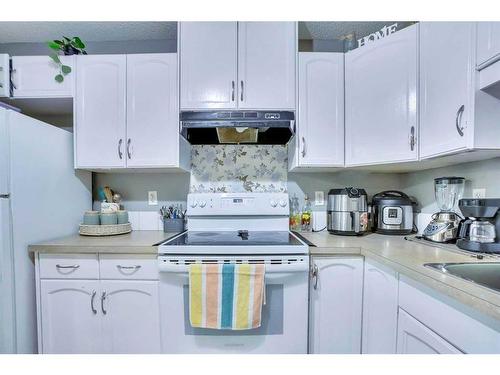 489 Saddlecrest Boulevard Ne, Calgary, AB - Indoor Photo Showing Kitchen