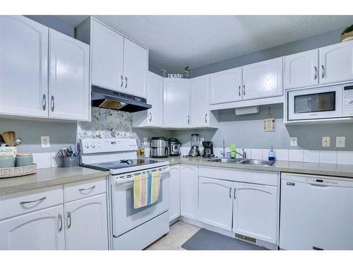 489 Saddlecrest Boulevard Ne, Calgary, AB - Indoor Photo Showing Kitchen With Double Sink