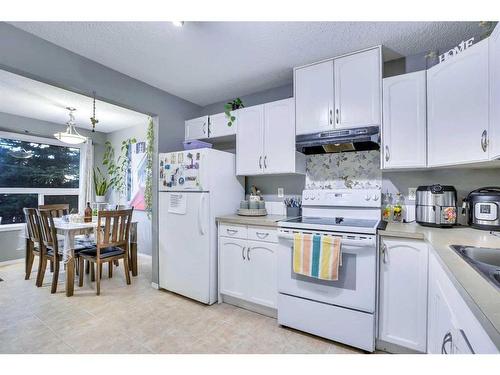 489 Saddlecrest Boulevard Ne, Calgary, AB - Indoor Photo Showing Kitchen