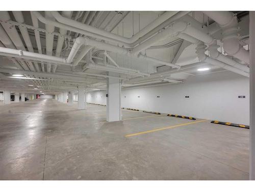 2414-395 Skyview Parkway Ne, Calgary, AB - Indoor Photo Showing Garage