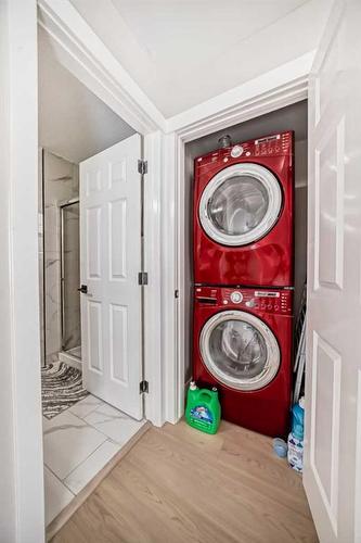 117 Saddlecrest Crescent Ne, Calgary, AB - Indoor Photo Showing Laundry Room