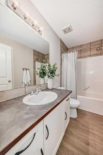 95 Elgin Drive Se, Calgary, AB - Indoor Photo Showing Bathroom