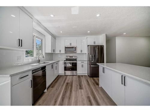 203 Rundleside Crescent Ne, Calgary, AB - Indoor Photo Showing Kitchen