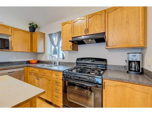 59 Rivercrest Circle Se, Calgary, AB - Indoor Photo Showing Kitchen With Double Sink