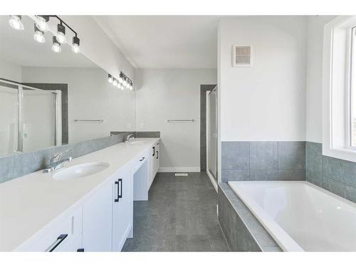 98 Waterford Road, Chestermere, AB - Indoor Photo Showing Bathroom