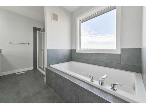 98 Waterford Road, Chestermere, AB - Indoor Photo Showing Bathroom