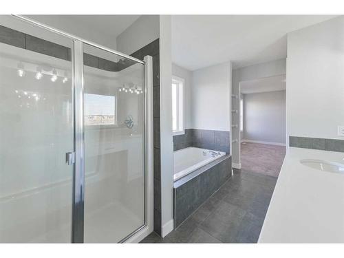 98 Waterford Road, Chestermere, AB - Indoor Photo Showing Bathroom