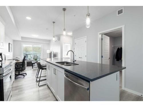 1401-42 Cranbrook Gardens Se, Calgary, AB - Indoor Photo Showing Kitchen With Double Sink With Upgraded Kitchen